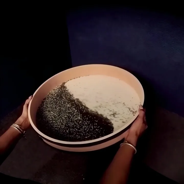 ოკეანის დოქი (9)(1)