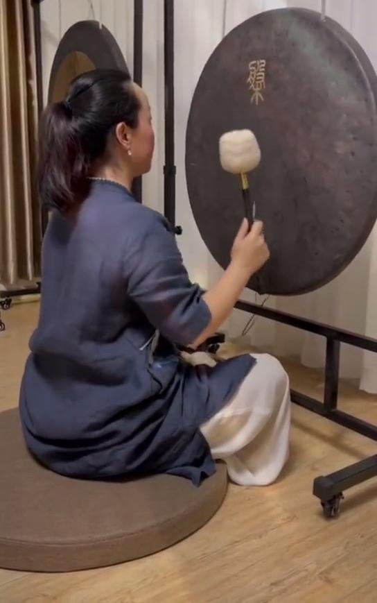 the earth gong (2)