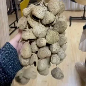 třepačka rukou (pangi)