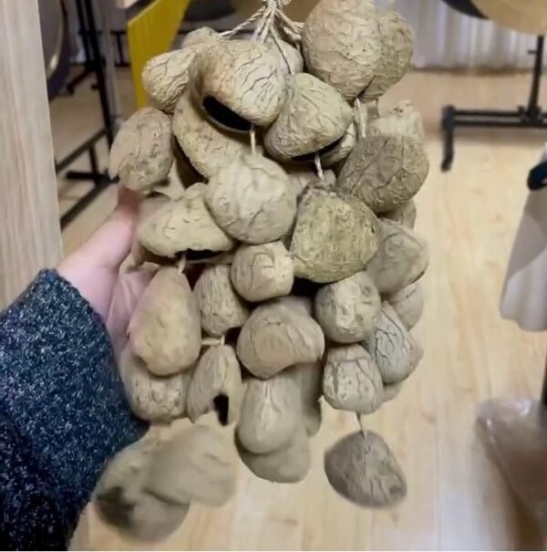 hand shaker (pangi)