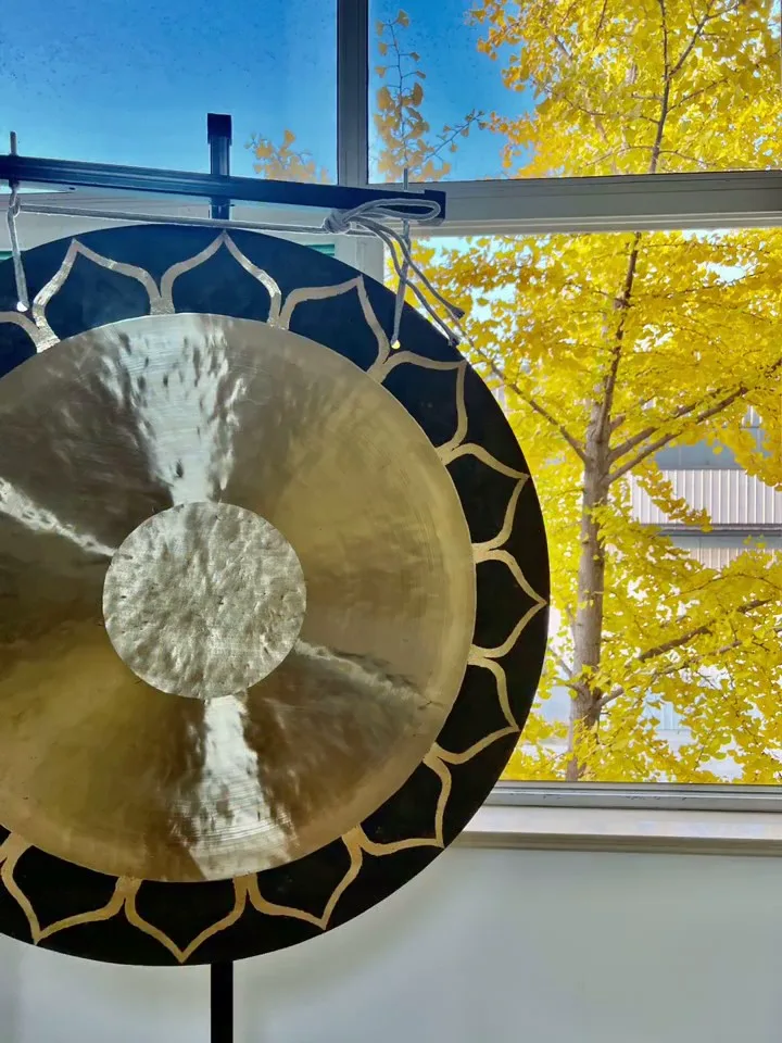 lotus gong
