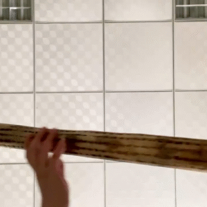 rain stick