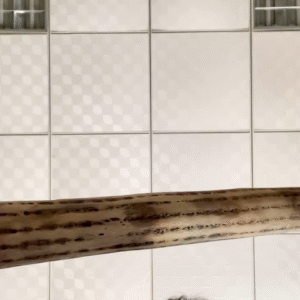 rain stick
