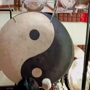 gongo do vento tai chi