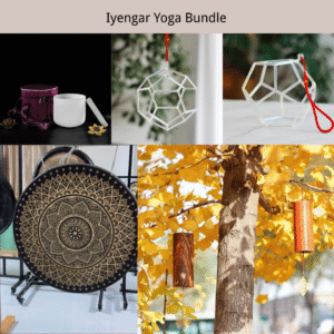 iyengar yoga bundle precise alignment enhancement system