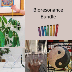 bioresonance bundle based on the resonant frequencies of your body organs