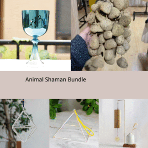 animal shamanism bundle power animal connection tools