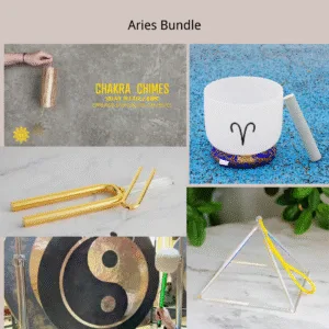 Paquete Aries, sistema de activación de iniciativa ardiente