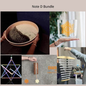 d note bundle sacral chakra creativity system